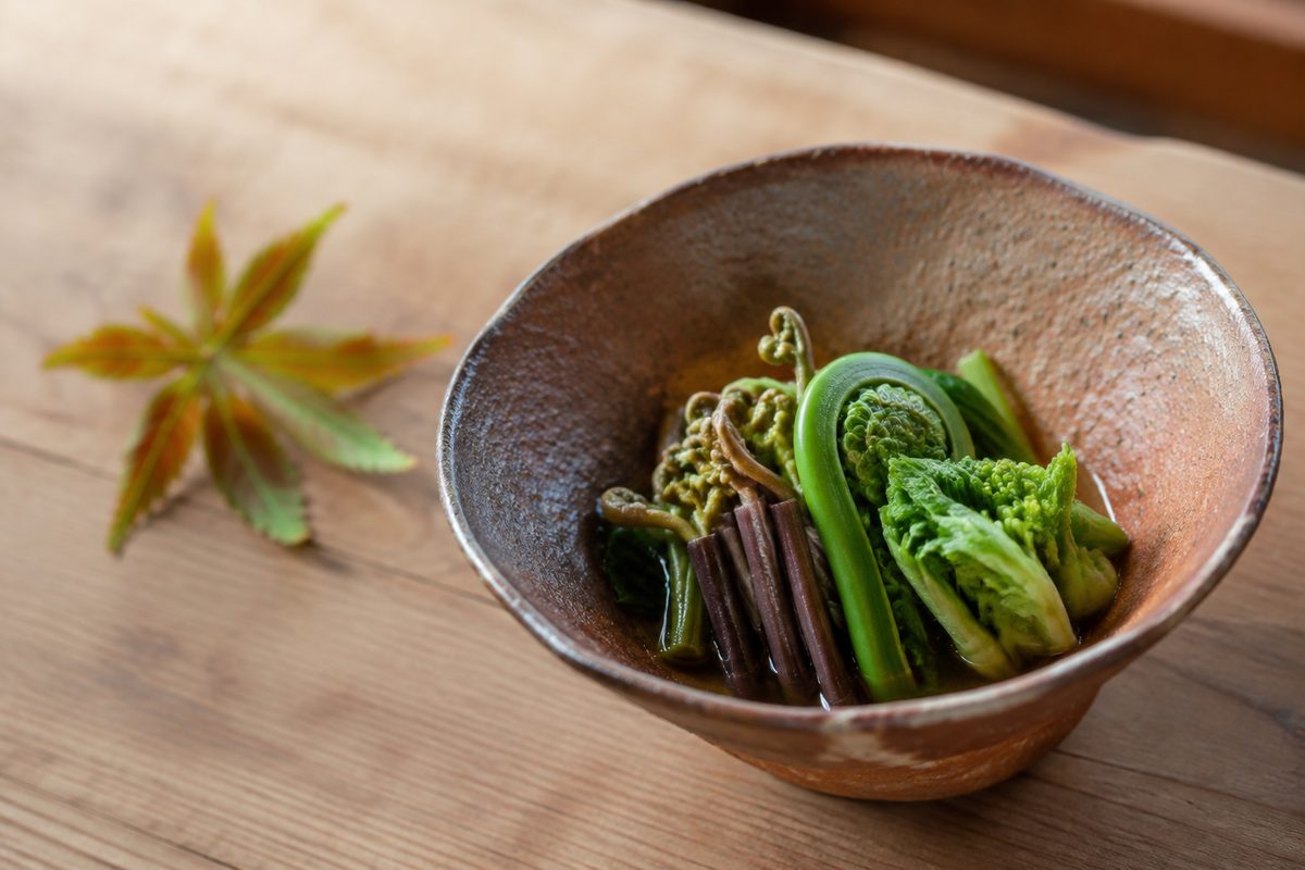 土ものの小鉢に盛られた、こごみ・たらの芽・わらびなど山菜のおひたし